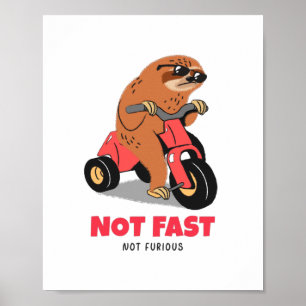 Poster Pas rapide pas furieux