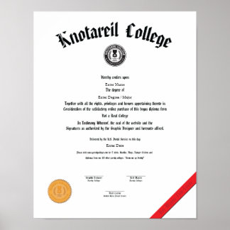 Poster Pas un vrai diplôme universitaire 11 X 14