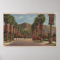 Pasadena, CA - Scène de rue résidentielle & Palms
