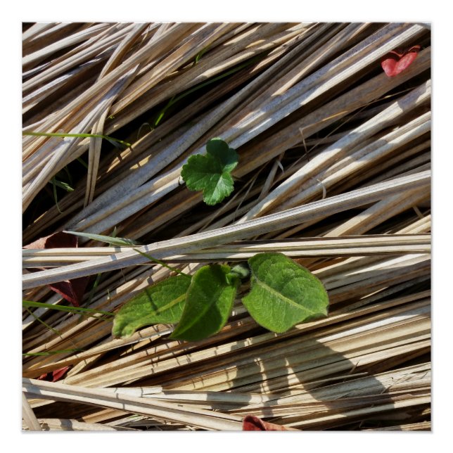 Poster passage (Devant)