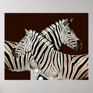Poster Passage de Zebra