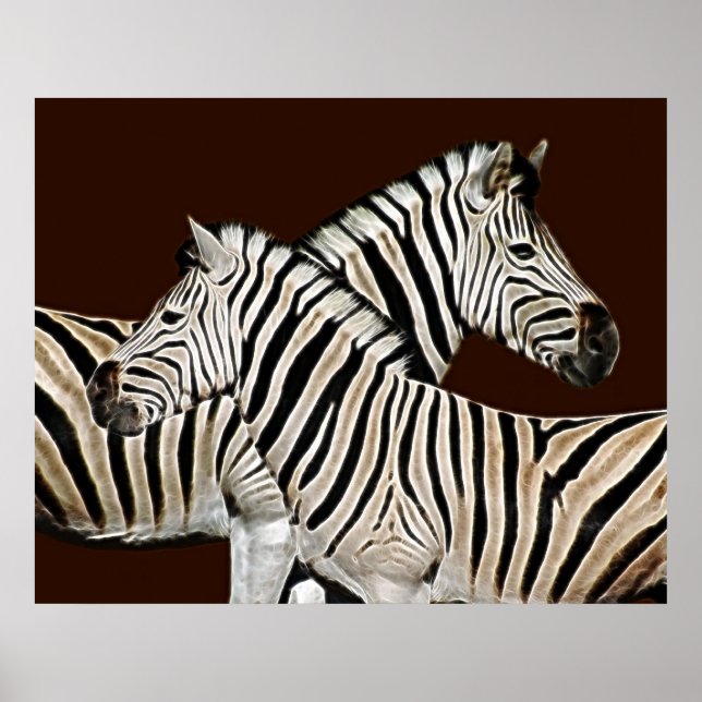 Poster Passage de Zebra (Devant)