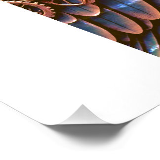 POSTER PASSÁRO GUARDIÃO