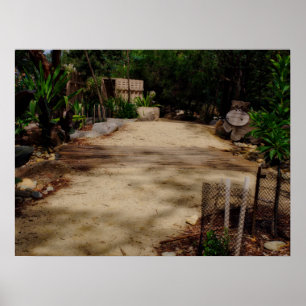 Poster Passerelle en bois Pont verdoyant