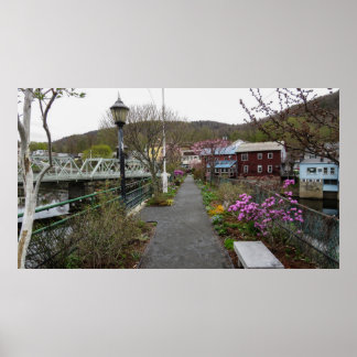 Poster Passerelle florale