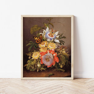 Poster Passiflores Ferdinand Bauer