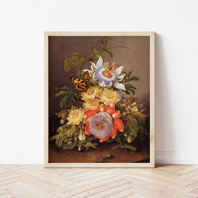 Poster Passiflores | Ferdinand Bauer (Créateur téléchargé)