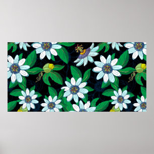 Poster Passionflower, passiflora sur un arrière - plan no