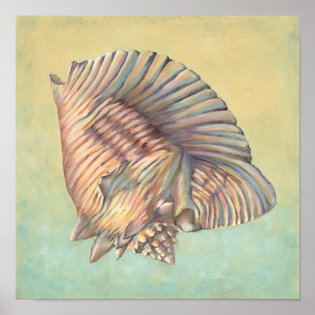 Poster Pastel Large Conch Shell (Devant)