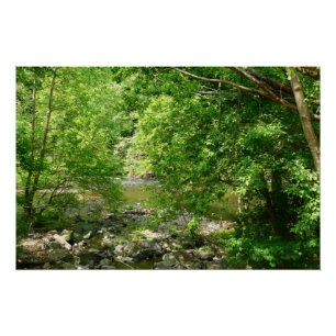 Poster Patapsco River View Maryland Nature Photographie