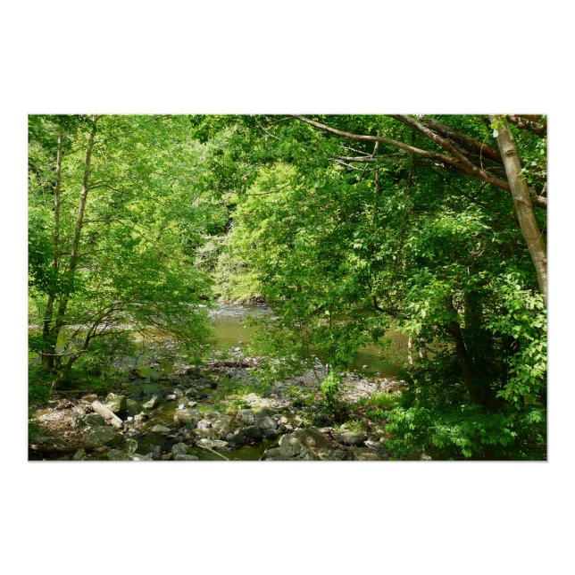 Poster Patapsco River View Maryland Nature Photographie (Devant)