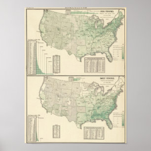 Poster Patates douces irlandaises et et foin