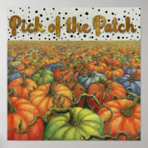 Patch citrouille : Sélection de l'affiche du patch