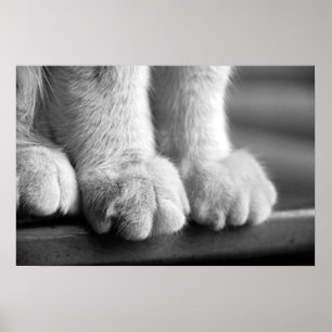 Poster Pâtes de légende