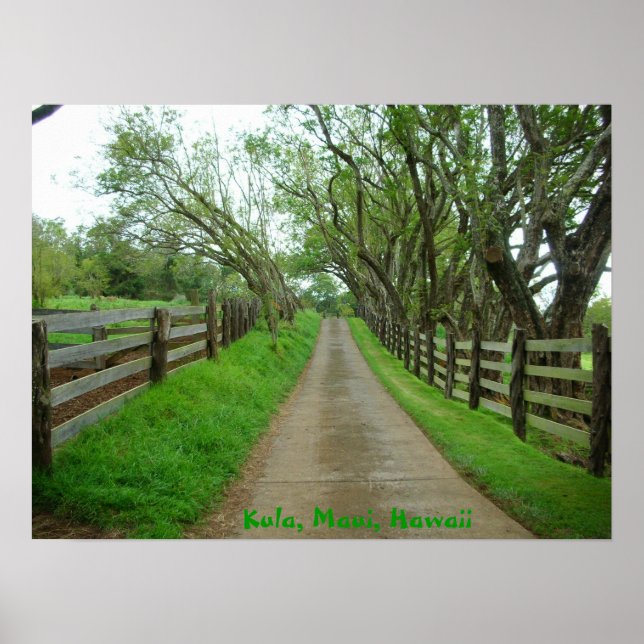 Poster Pâtes vertes (Devant)