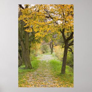 Poster Pathway en Autumn