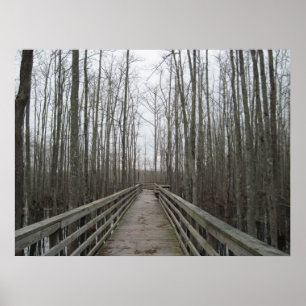 Poster Pathway Through the Wilderness