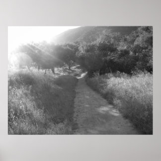 Poster "Pathway to Light"