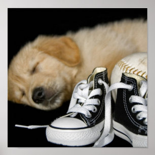 Poster Patiemment en attente