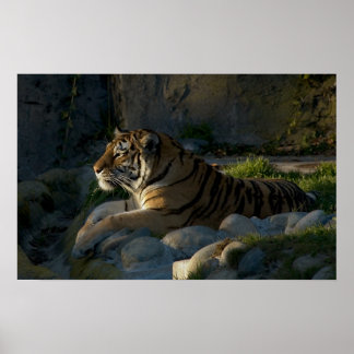 Poster Patience