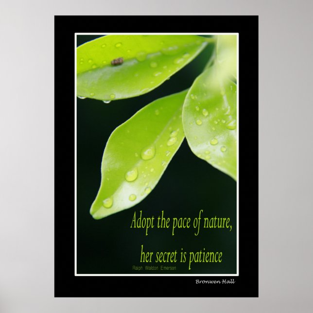 Poster Patience (Devant)