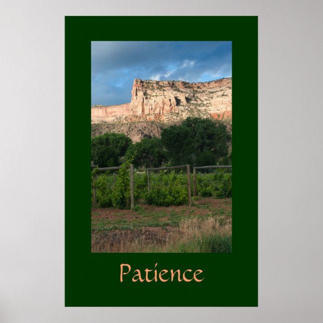 Poster Patience (Devant)