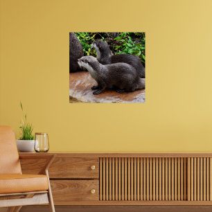 Poster **"Patience au bord de l'eau : deux petites loutre
