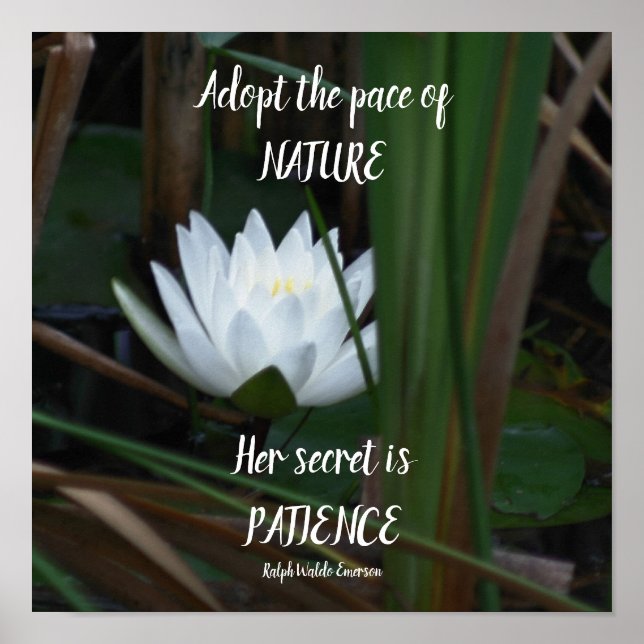 Poster Patience Emerson Citation Inspirationnelle Lotus (Devant)