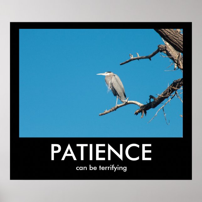 Poster PATIENCE, peut être terrifiant Demotivational Post (Devant)