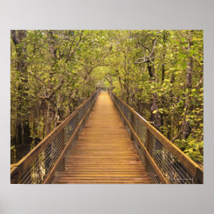 Poster Patrimoine mondial de l'UNESCO de parc national de