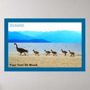Poster Patrol Canada Oies