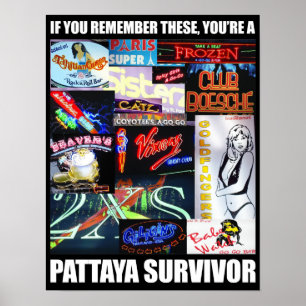 Poster Pattaya Survivor