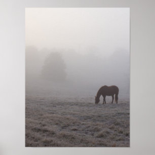 Poster Pâturage
