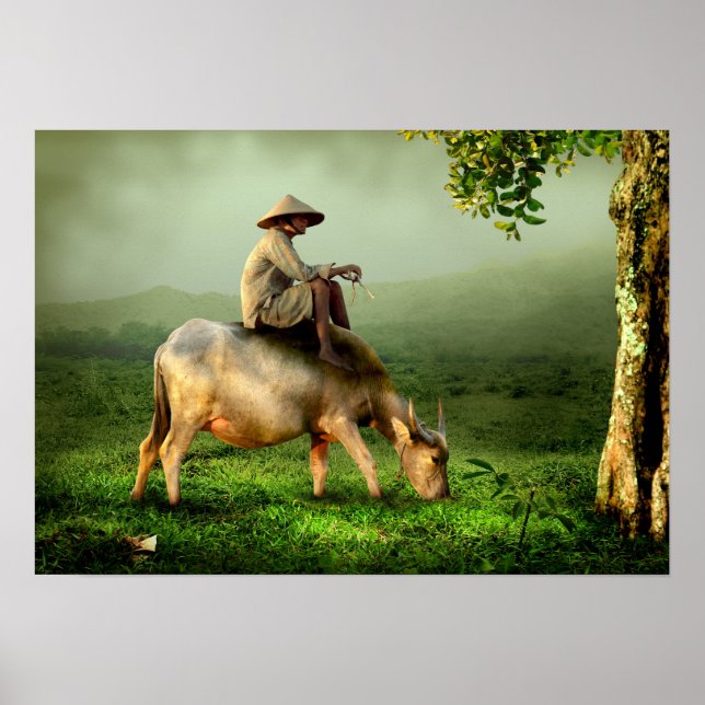 Poster Pâturage de la vache dans un pâturage Pittoresque (Devant)