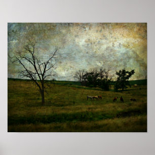 Poster Pâturage du cheval