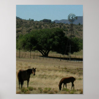Poster Pâturage parfait