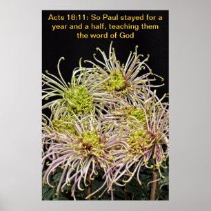 Poster Paul est donc resté un an et demi