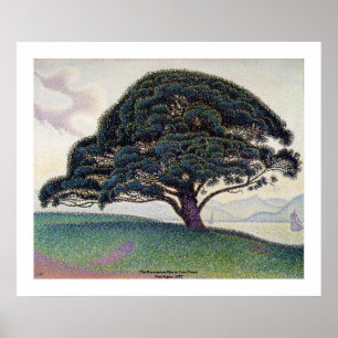 Poster Paul Signac