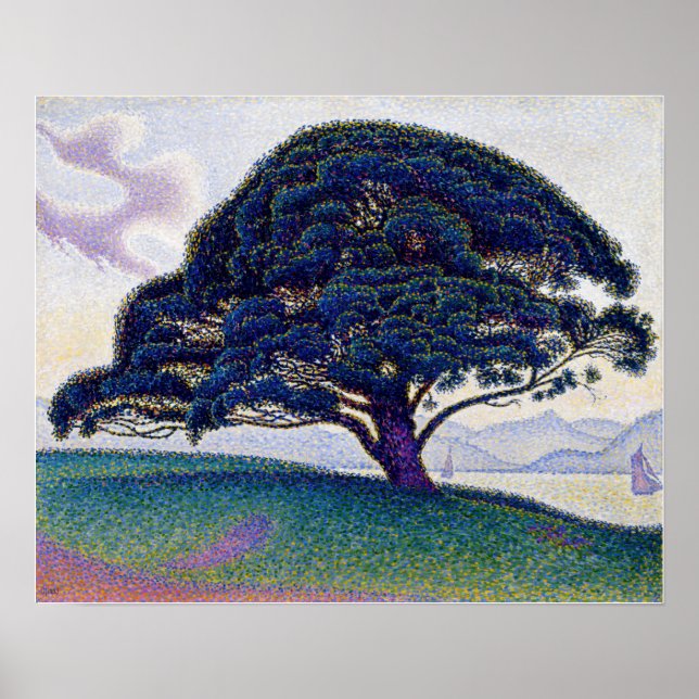 Poster Paul Signac - Le pin Bonaventure (Devant)