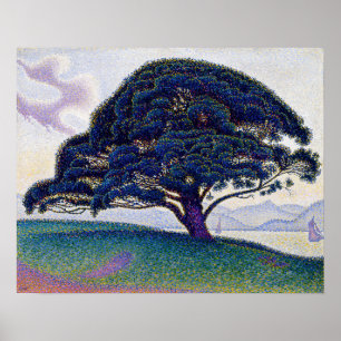 Poster Paul Signac - Le pin de Bonaventure