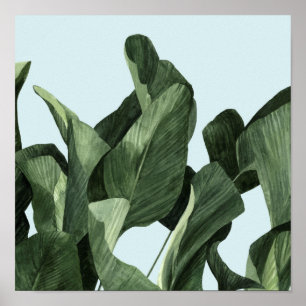 Poster Paumes de Celadon