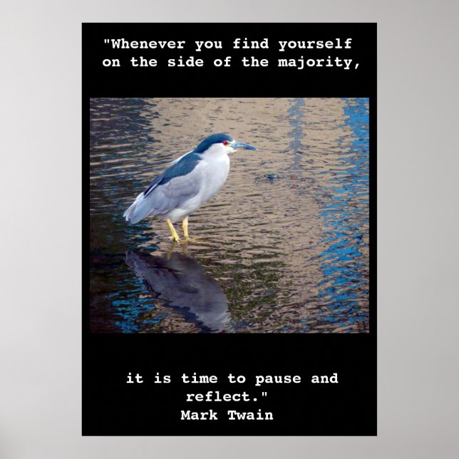 Poster, Pause and Reflect Hawaiian Water Bird Poster (Front)