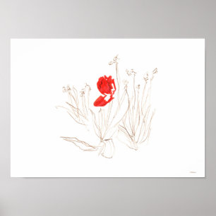 Poster Pauvre tulipe