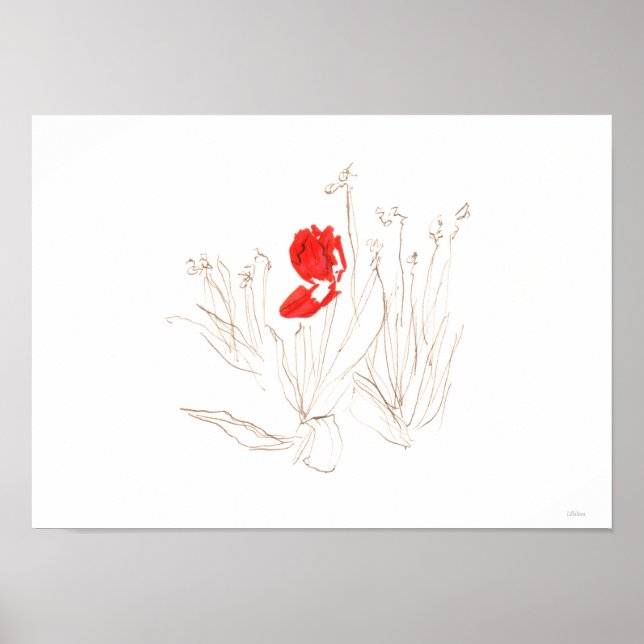Poster Pauvre tulipe (Devant)
