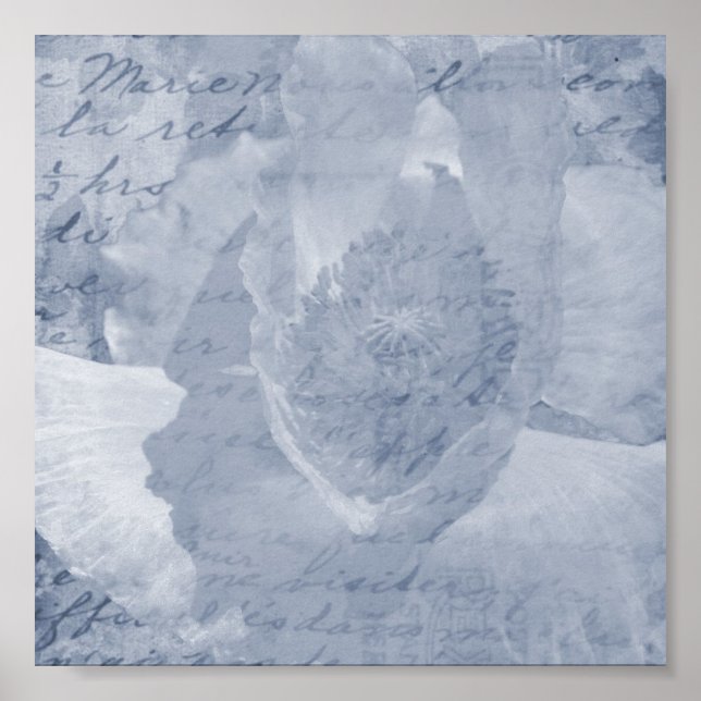 Poster Pavot 2 (Devant)