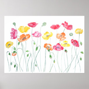 Poster pavot coloré fleurs aquarelle horizontale