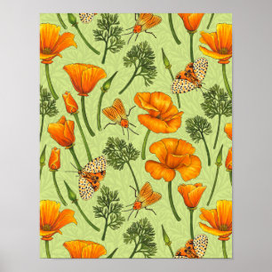 Poster Pavot de Californie et papillons de nuit sur la ro