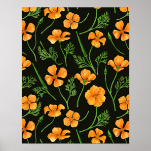 Poster Pavot de Californie, fleurs d'été, orange wil