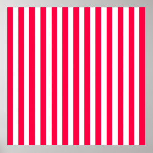 Poster Pavot Moderne
