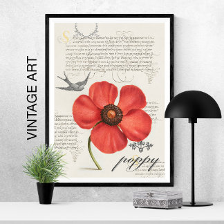 Poster Pavot rouge Vintage tiré à la main 🌸 cerf-volant